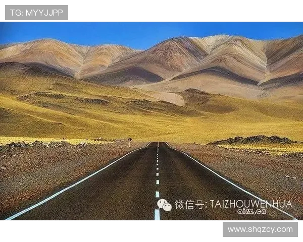 付豪的成长之路：从平凡到卓越的奋斗故事与人生启示